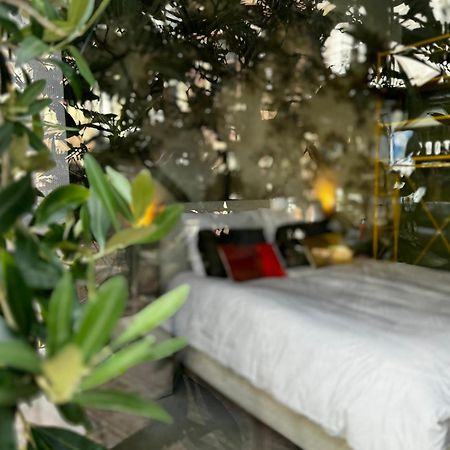 Daen'S Greenhouse Utrecht Bagian luar foto